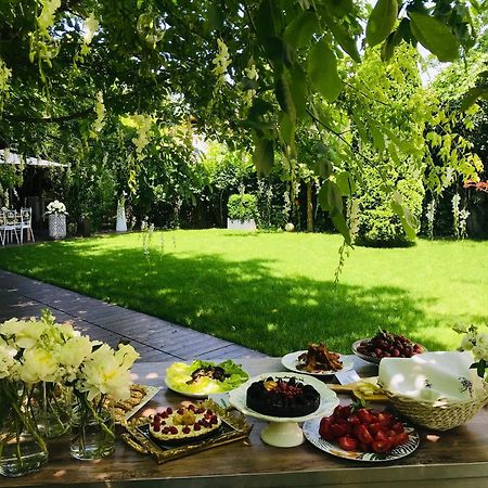 Hotel Vanilla Тімішоара Екстер'єр фото
