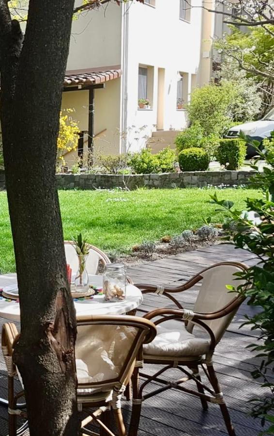 Hotel Vanilla Тімішоара Екстер'єр фото
