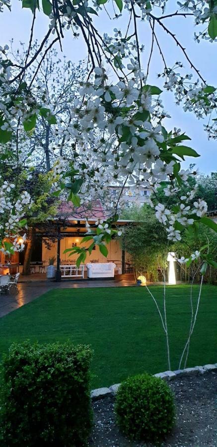 Hotel Vanilla Тімішоара Екстер'єр фото